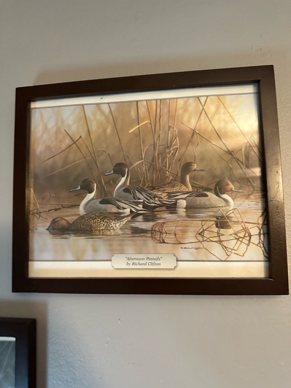 Framed Duck Wildlife Prints in Brown Frame